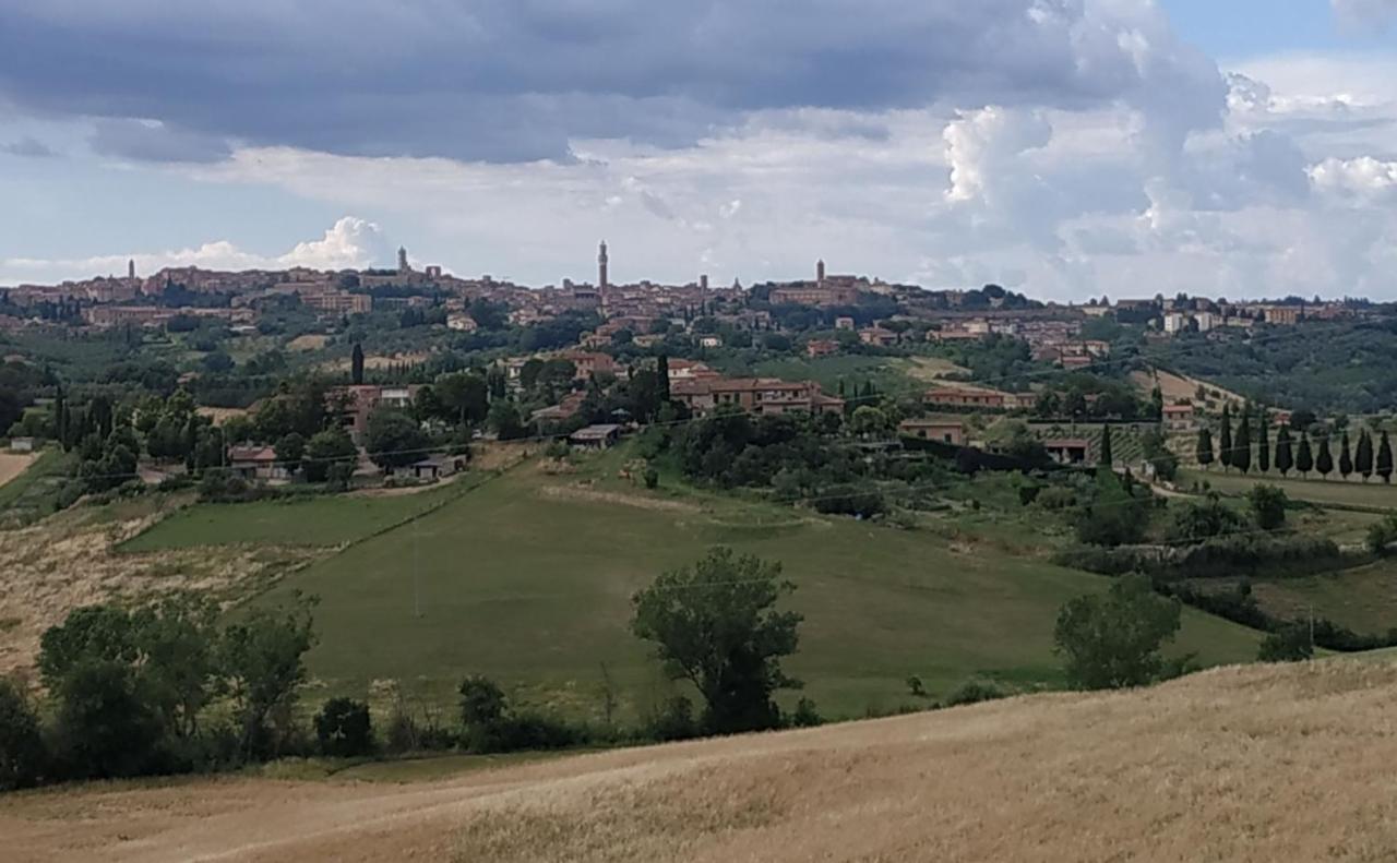 Apartament La Casa Nel Poggio 247 Vicino A Siena Ponte a Tressa Zewnętrze zdjęcie